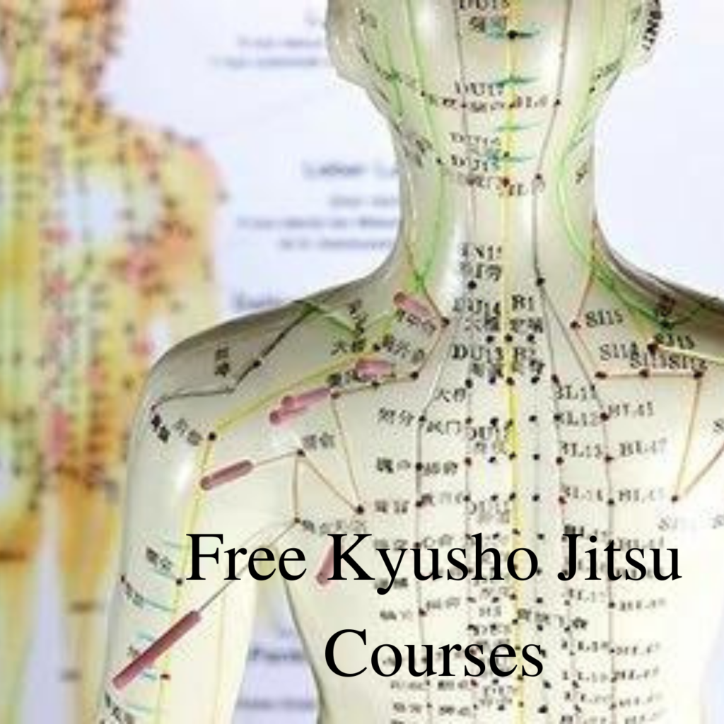 Free Kyusho Jitsu Mini Course